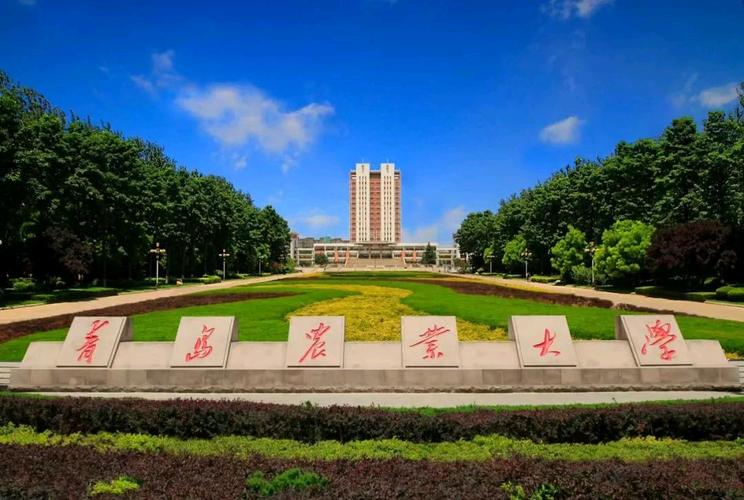 青岛农业大学图书馆怎么借书