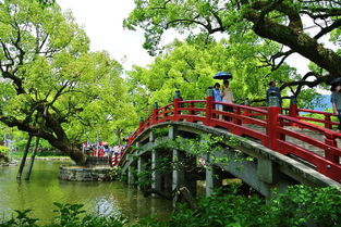 深度解析，山西职工医学院学报——医学教育的瑰宝与临床研究的窗口