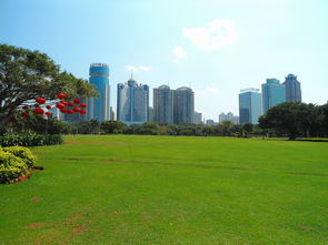 海南大学在台风中痛失校名，校园重建彰显抗灾精神