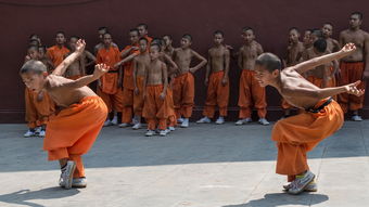 揭秘少林寺武僧团培训基地，武术传承与现代教育的完美融合