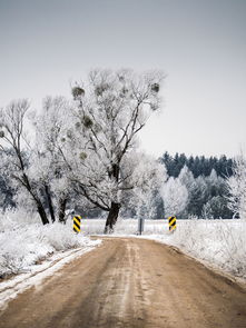 甘肃突降冰雹厚如积雪，马路瞬间变冰河