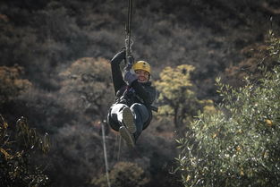 哀牢山景区发布安全警示，探险之旅需谨慎，守护自然共平安