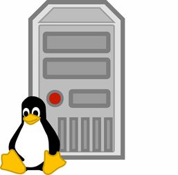 深入浅出Linux，你的电脑如何在自由世界中高效运转的秘密