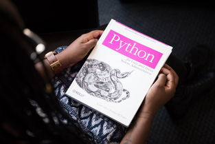 Python编程，开启你的数字生活魔法钥匙